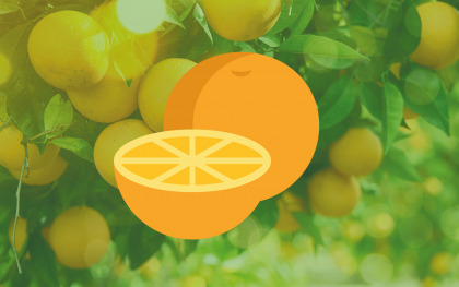 Máquina de zumos de naranja 